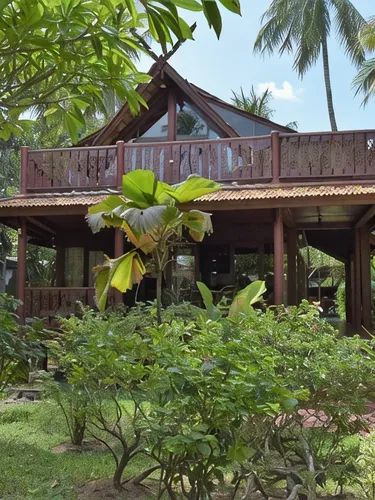 รูปภาพของCoconut Tropicana Villa T5 – 2/3 Bedroom Villa – Beach side