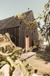Modern wooden house on the Bodden with two apartments that can be combined - Homestays