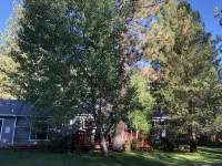 Charming, Cozy, Cottage. Location Perfect for Outdoor enthusiasts and Couples - Wifi
