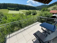 Baiersbronn, Black Forest, Schwarzwald, view, 2 rooms, sun, balcony, quietness - 2-Sterne