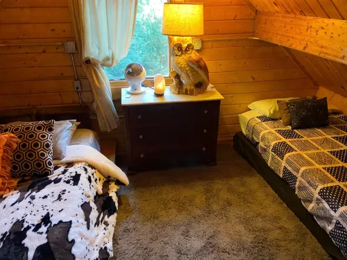 Cabin In the Trees In historic Jim Thorpe, on the side of Flagstaff Mountain - 3-Star