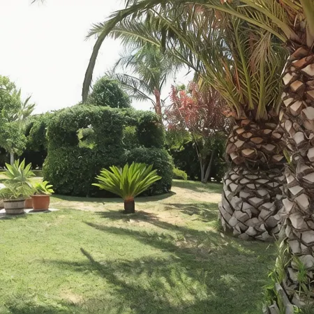 Villa Albero Limone Luxury 3 bedroom 4 bathooms farmhouse private pool and wif