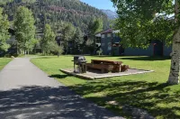 Experience Telluride This Summer!! Book Now - 4-Star