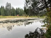 Secluded Cabin at Shaver Lake – Quiet, Private & Family Friendly Hotels in Shaver Lake