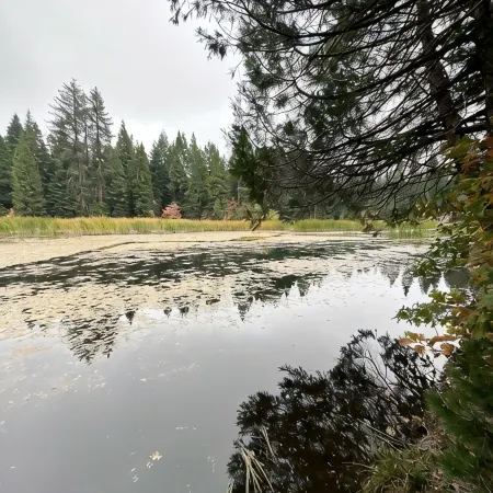 Secluded Cabin at Shaver Lake – Quiet, Private & Family Friendly