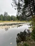 Secluded Cabin at Shaver Lake – Quiet, Private & Family Friendly