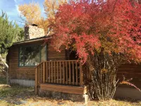 Comfy, charming cabin on the Salmon River a few miles from Gold Bug Hot Springs