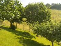 T2 apartment - 45 m2 - for holidays in URRUGNE near ST JEAN DE LUZ - Wifi