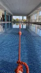 Sporting Lodge Inn Middlesbrough - Pools