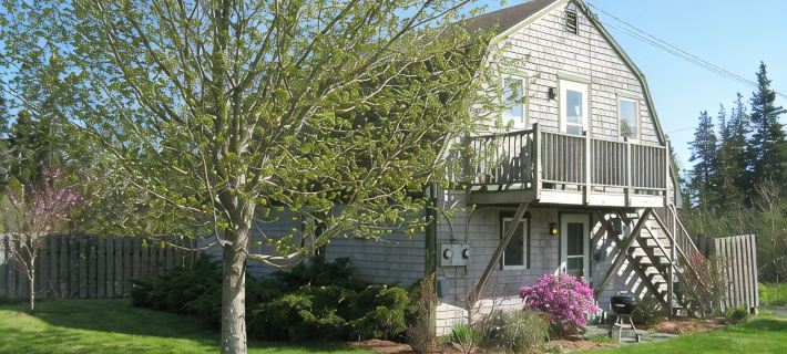 Aldernest Den - Mount Desert Island/Acadia -walk across the lawn down to shore Hotels in Tremont