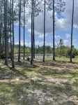 The Charming Cottage at Cypress Pond PCB - Wifi