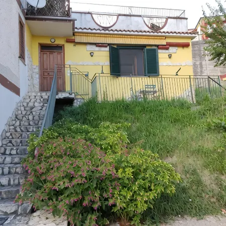 Cozy apartment within walking distance of downtown