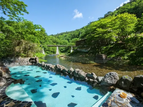 Osawaonsen Jisuibu - chambre d’hôtes