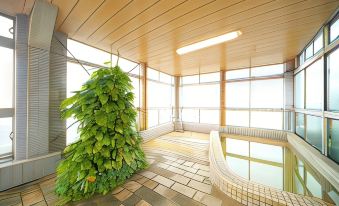 Hotel Hayashi