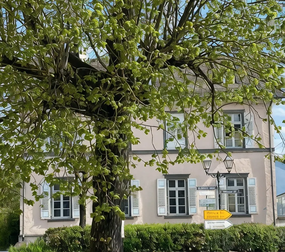 Hotel St. Hubertus - Rhineland-Palatinate