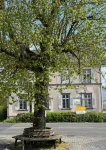 Hotel St. Hubertus - parking