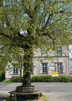 Hotel St. Hubertus - Wifi