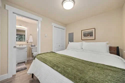 Cozy 1-bedroom forest retreat in gorgeous Bellingham - Homestays