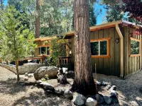 The Little Cabin 🌲The coziest cabin on the Mountain.