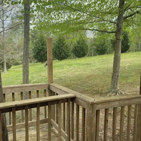 The Peaceful Pine Cabin
