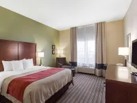 Comfort Inn & Suites Fayetteville-University Area Hotels in Washington County