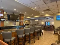 Wyndham Denver Tech Center - bar