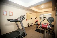 Hotel Dwór Karolówka - Gym
