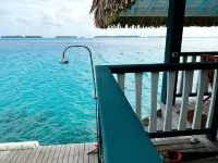 Over Water Hideaway in Bora Bora! Marlon's World Famous Over Water Hideaway!! 波拉波拉島住宿飯店