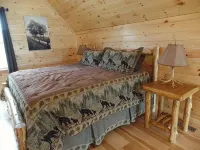 A Luxurious Cabin Quietly Tucked Away in the Woods, Dog-Friendly, Fiber WiFi - 4-Star