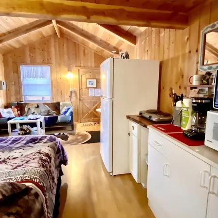 'Wolf Den'-A Perfect Romantic Honeymoon cabin and a Sportsman's Paradise Cabin