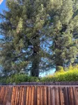 Stylish Condo Steps from St. Helena Wineries & Downtown - Wifi