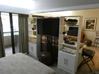 2762 Merion Innisbrook Condo Golf Resort - balcony