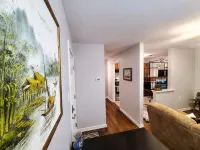 Central Stay! Near UK/Downtown/Campus. - Condos