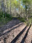 Forest Side Solar Powered Cabin with Nature Trails - Alphydda