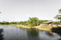 Cozy family home minutes from OU - Bungalows