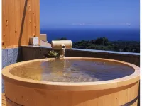 Aqua Garden Ragdoll - Bintang 2