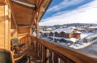 Chamois d'Or Hotel - Mountain view