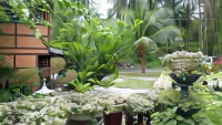 Melbas Homestyle Resort & Spa