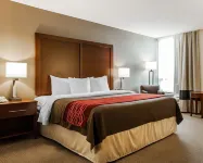 Comfort Inn Denver East Hotels near Cigar & Tobacco World