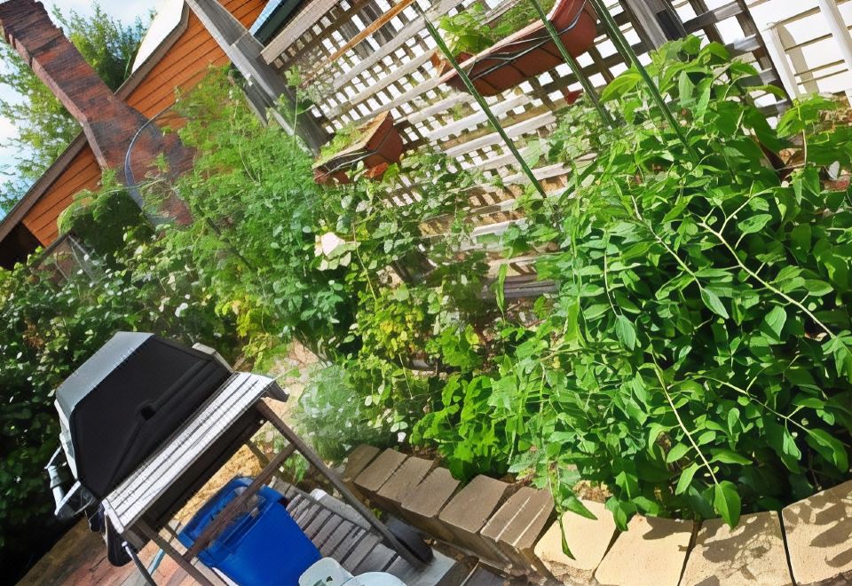 a wooden deck with various plants and herbs growing on it , including tomatoes and other vegetables at Westbury Gingerbread Cottages