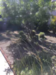 Sunshine la Bnb Hôtels à proximité de l'Los Angeles Whiteman Apt