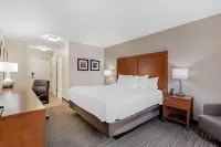 Comfort Inn & Suites Hotels in Dock Junction