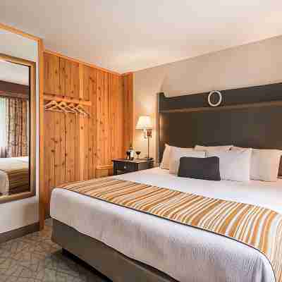 Holland America Denali Lodge Rooms