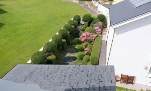 Hotel la Casa de Las Camelias