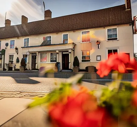 The Dog & Bear Hotel