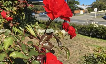 Parklands Motor Lodge Timaru