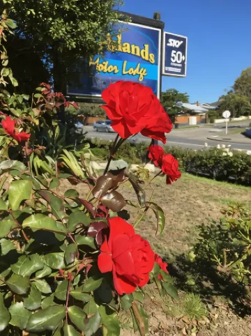 Parklands Motor Lodge Timaru