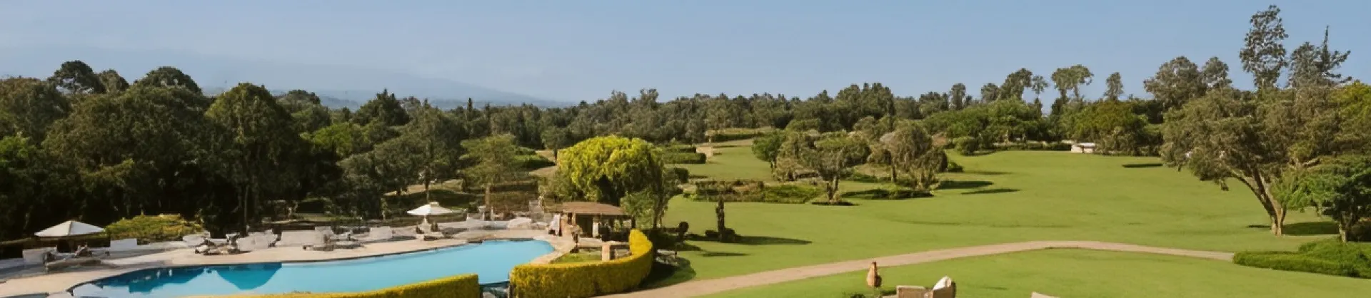 Luxury Hotels