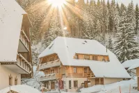 Hotel & Restaurant Grüner Baum - Die Grüne Oase am Feldberg Hotels in Feldberg