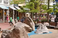 Pet-Friendly! Stunning Home — Steps to Downtown, CU & Hiking Trails.